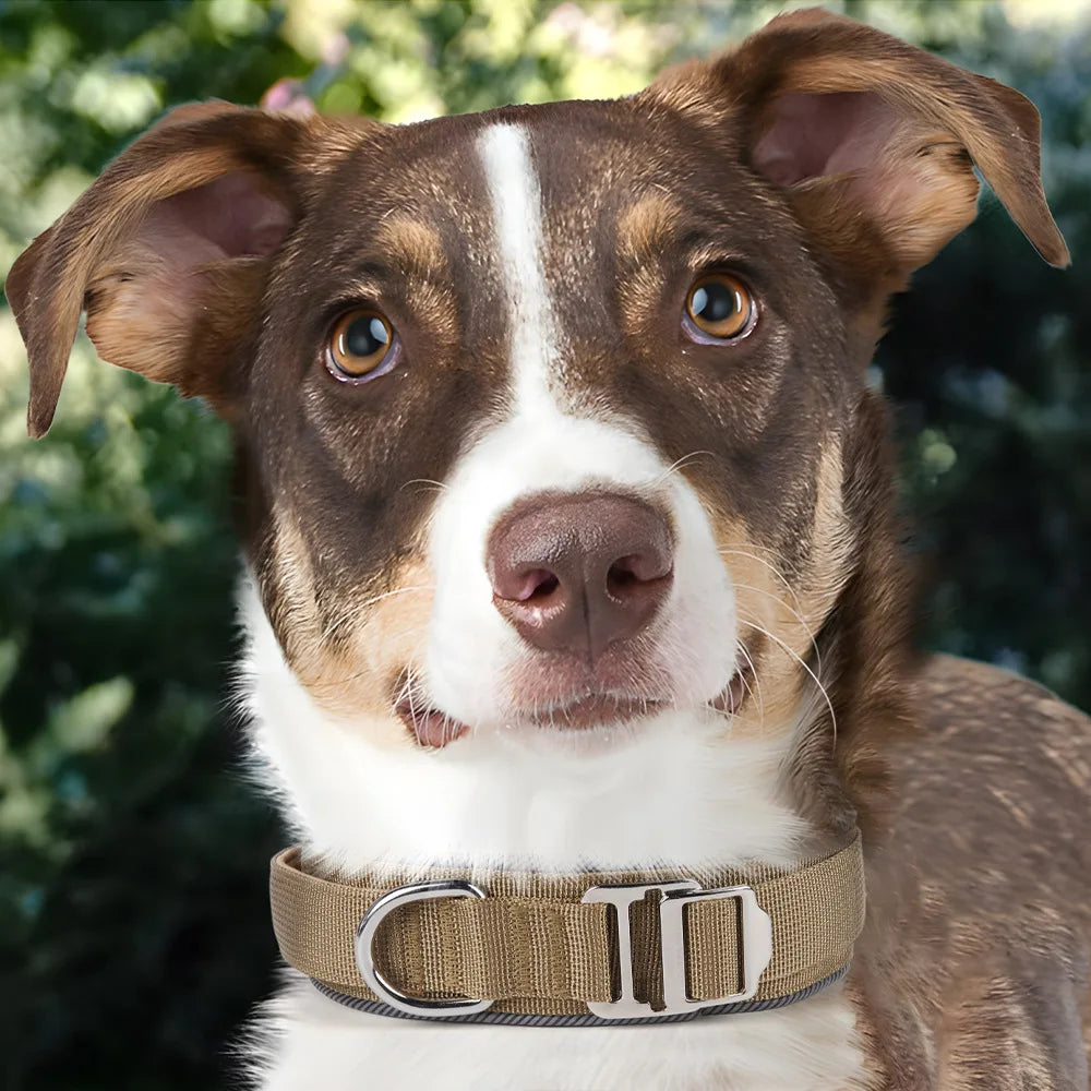 Heavy-Duty Metal Buckle Reflective Collar