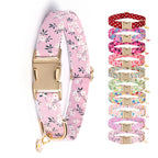Fresh floral adjustable pet collar