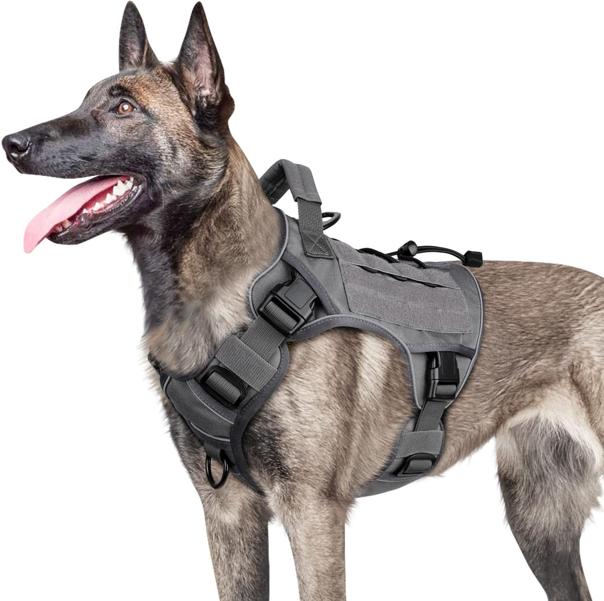 Outdoor blast-proof tactical dog chest strap large dog