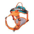 Orange, dark green.