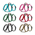 Explosion-proof medium and large dog straps
