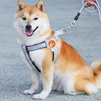 Step-in Harness