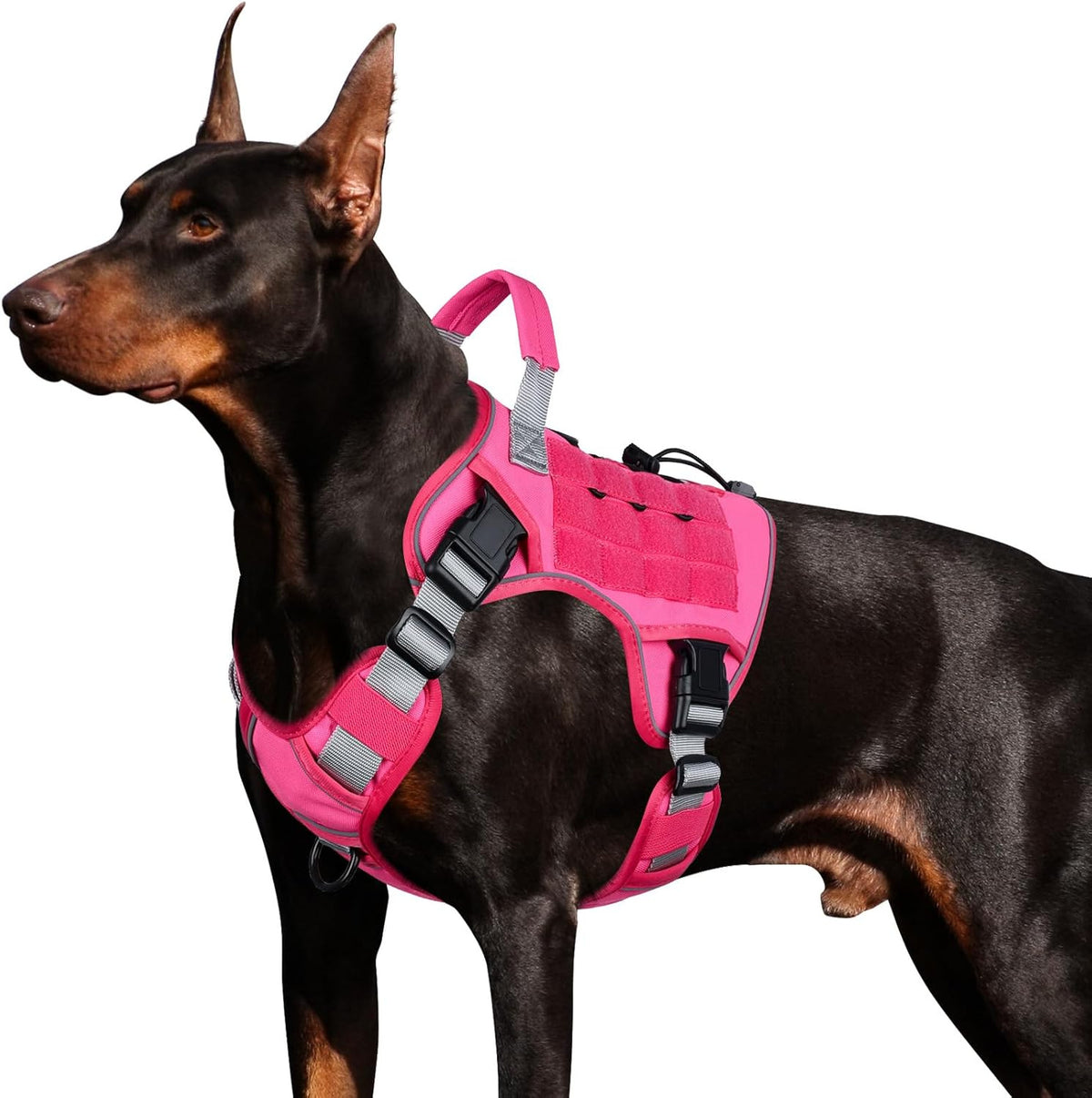 Outdoor blast-proof tactical dog chest strap large dog