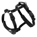 Anti-Escape H-Harness with Leather Handle