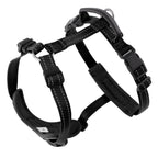 Anti-Escape H-Harness with Leather Handle