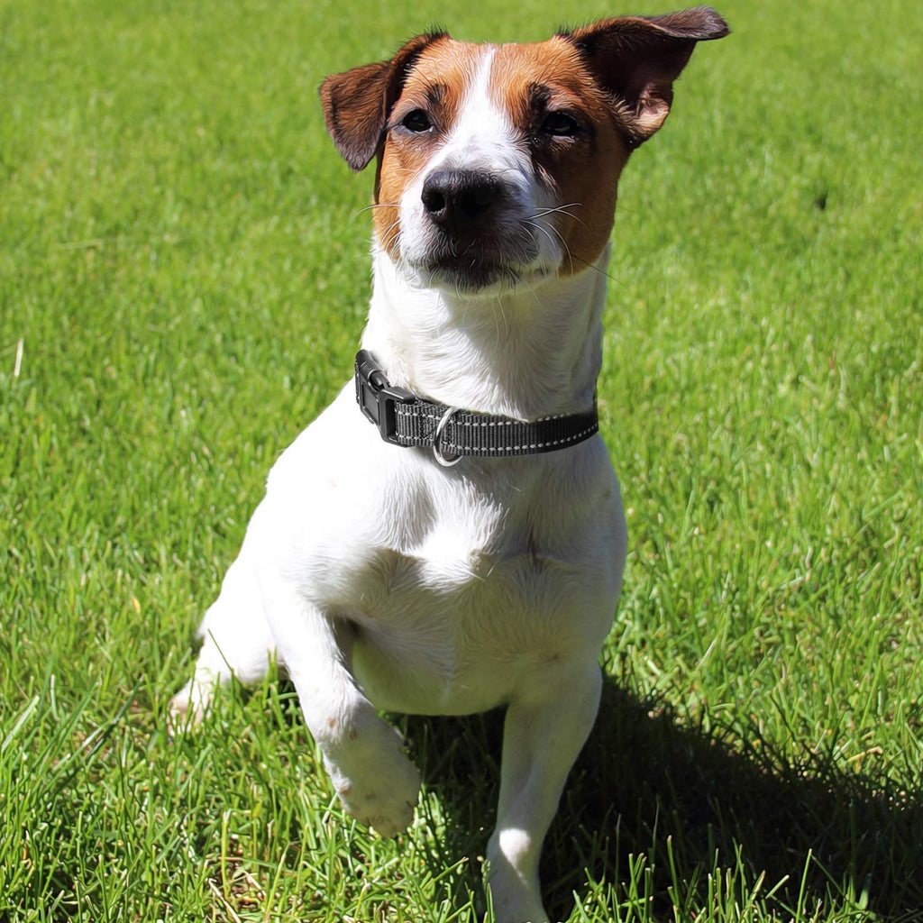 Puppy Collar with Buckle Adjustable & Reflective Dog Collar