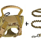 Camouflage + Leash