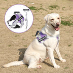 Service Dog Harness