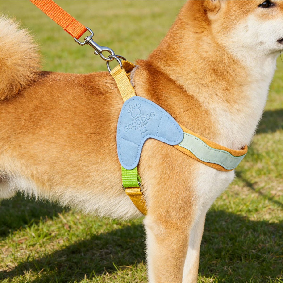 Lightweight Breathable Nylon Pet Harness for Small Dog Harness