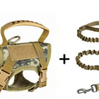 Green camouflage + Leash
