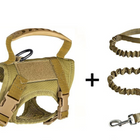 Khaki + Leash