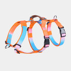 Gradient orange