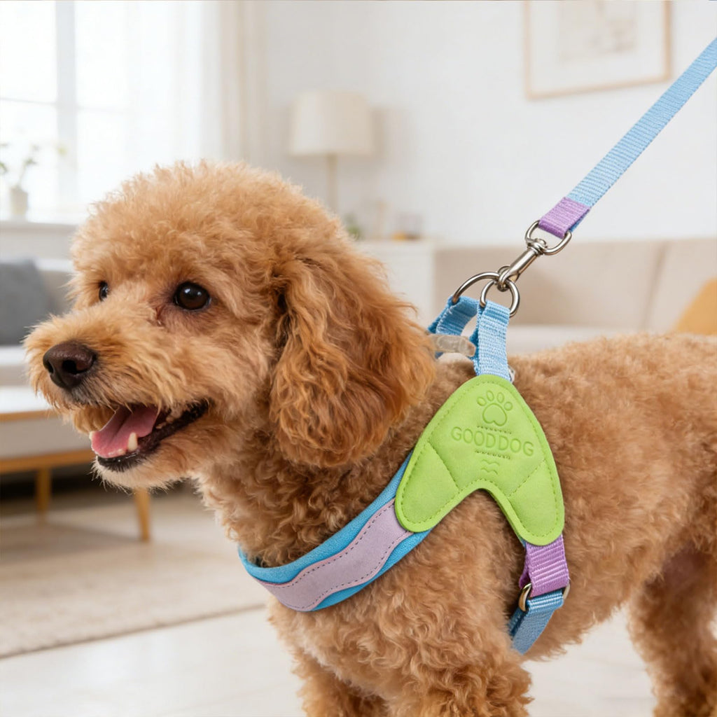 Lightweight Breathable Nylon Pet Harness for Small Dog Harness
