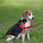 No-Pull Training Dog Harness