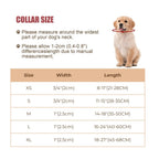Puppy Collar with Buckle Adjustable & Reflective Dog Collar